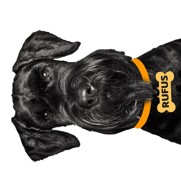 Rufus