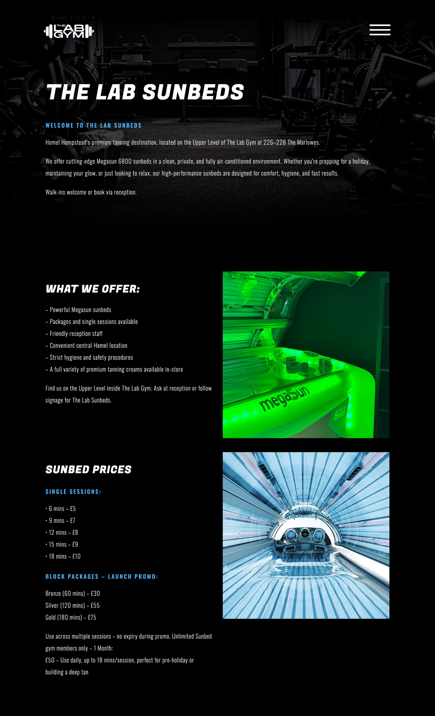 Lab Gym Site 1 The Lab Gym Hemel, web page design
